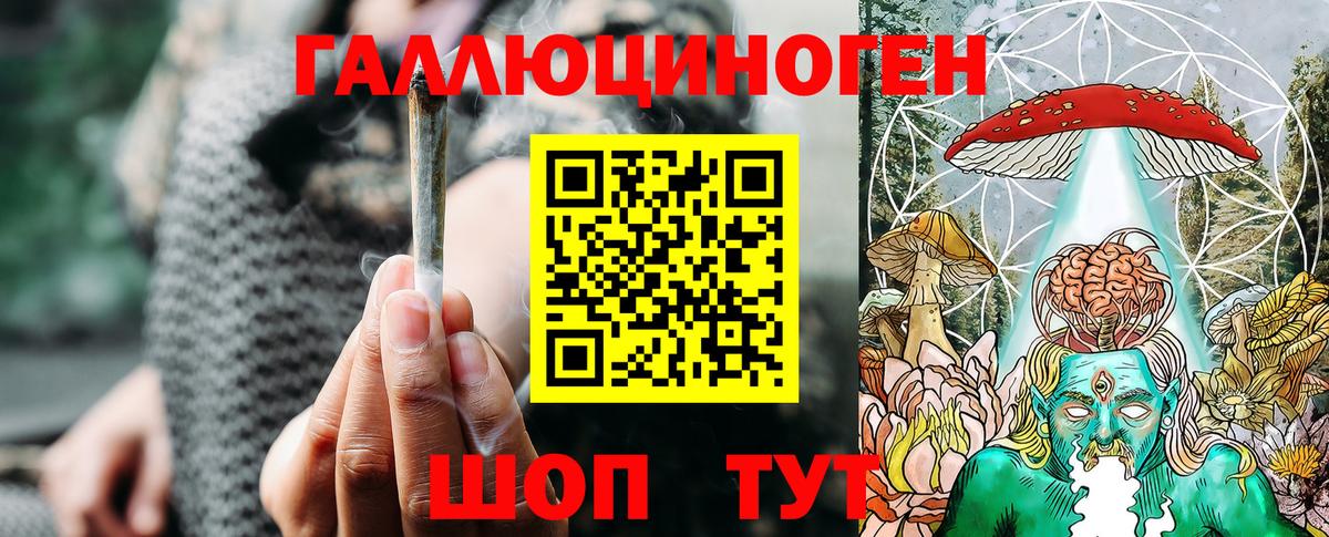 Галлюциногенные грибы Psilocybine cubensis Тайшет