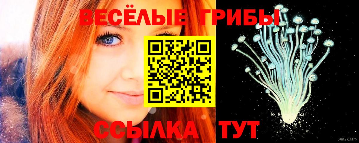 наркота  Галлюциногенные грибы Psilocybine cubensis  Вход с VPN  Тайшет 